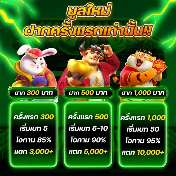 สล็อตเว็บตรงอันดับ 1